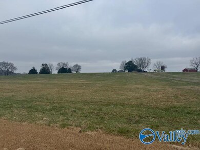 TRACT 10 Alabama 99, Elkmont, AL 35620 - photo 5