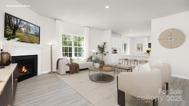 11313 Cardinal Creek Ave, Charlotte, NC 28215 - photo 3