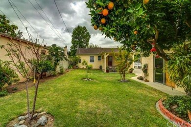 Check out the all the fruit trees here! 