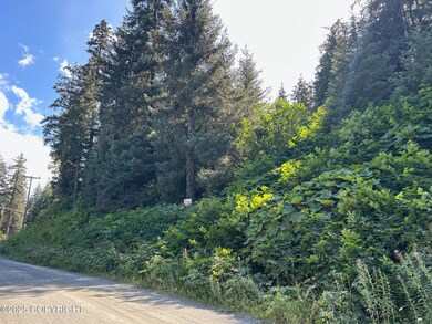 L2 & 2A Rocky St, Seldovia, AK 99663 - photo 2