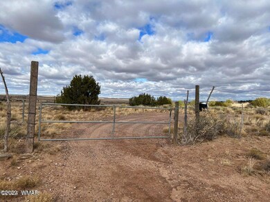 Entrance Gate