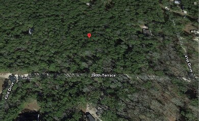 4301 290th Terrace, Branford, FL 32008 - photo 3