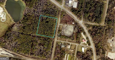 0 Saint Patrick St, St. Marys, GA 31558 - photo 3