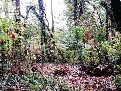 8612 Stockton Pkwy, Alexandria, VA 22308 - photo 3