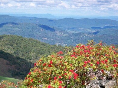 Lot 117 Point Lookout Ln, Independence, VA 24348 - photo 5