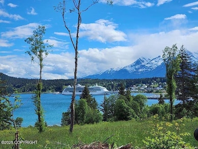 Lot 7 Barnett St W, Haines, AK 99827 - photo 4