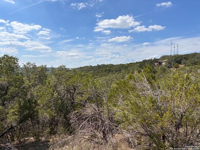 2870 Skyline Dr, Canyon Lake, TX 78133 - photo 5