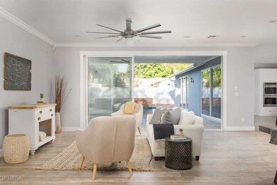 The Living Area