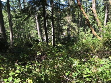 11507 Breaker Way, Anderson Island, WA 98303 - photo 5