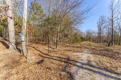 000 Boulder Dr, Williams Township, MO 65681 - photo 4