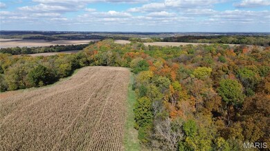 Aerial view of sparsely populated area featuring rows of crops and a heavily wooded area