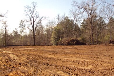 4018 Gordon Hwy, Harlem, GA 30814 - photo 2