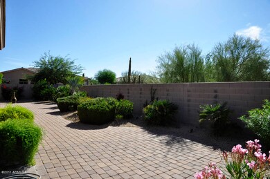 Backyard2
