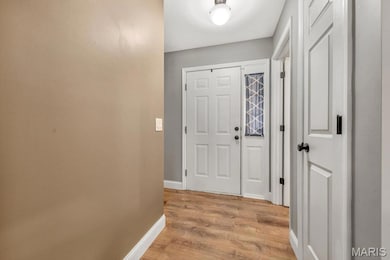 234 Autumn Mist Place, O Fallon, MO 63366 - photo 3