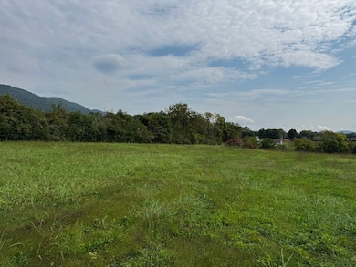 0 Eagle Bluff Rd, Jacksboro, TN 37757 - photo 7