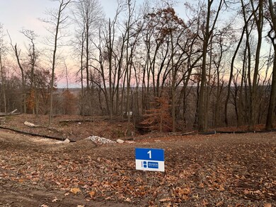 12920 Triple Oak, Lowell, MI 49331 - photo 2