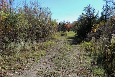 000 Jennings Rd, Whitmore Lake, MI 48189 - photo 4