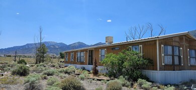 IMG_20250604_121215 (1)