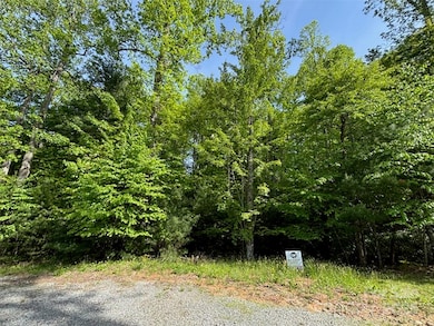 99999 Small Creek Rd unit 4, Brevard, NC 28712 - photo 3