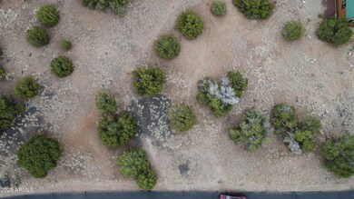 1927 Creekside Cir unit 92, Show Low, AZ 85901 - photo 2