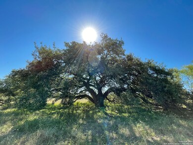 970 Newman Rd, Poteet, TX 78065 - photo 4