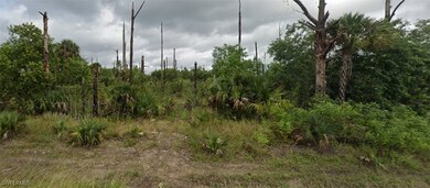 View of nature