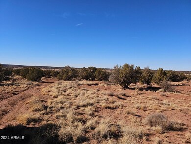 image000001 (7)