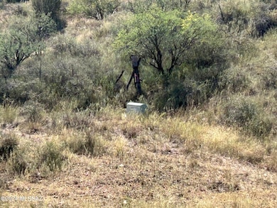 TBD Proctor Ln unit 4, Patagonia, AZ 85624 - photo 7