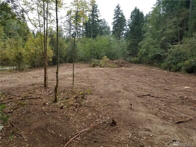 8210 128th Ave Ct, Anderson Island, WA 98303 - photo 3