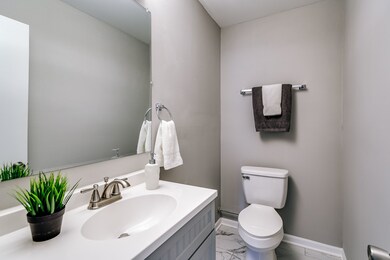 705 E Thacker St, Des Plaines, IL 60016 - photo 7