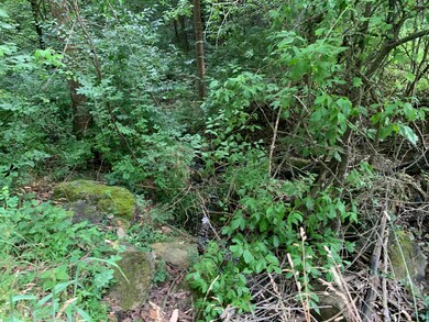 25 ACRES FOR SALE TANEY CO