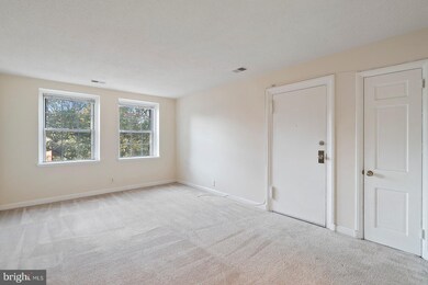 4862 28th St S unit C2, Arlington, VA 22206 - photo 4