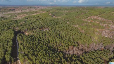 14304 Hargrove Rd E, Cottondale, AL 35453 - photo 4