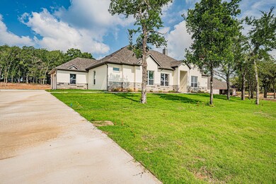 187 Lucky Ridge Ln, Boyd, TX 76023 - photo 6