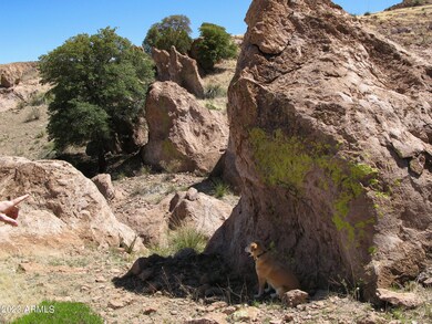 Lot 40 N Hidden Oaks Trail 38 7 Acres -- unit 40, Douglas, AZ 85607 - photo 5