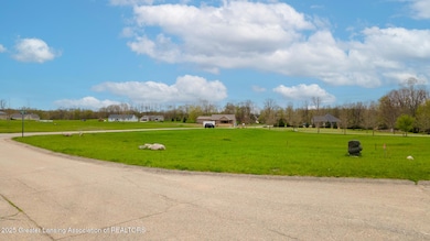 0 Mountainmint Cir unit 287877, Portland, MI 48875 - photo 5