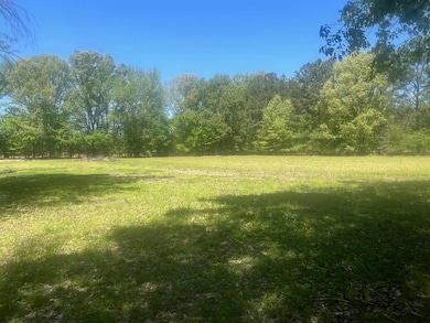 27 ACRES Sycamore Rd, Collierville, TN 38017 - photo 4