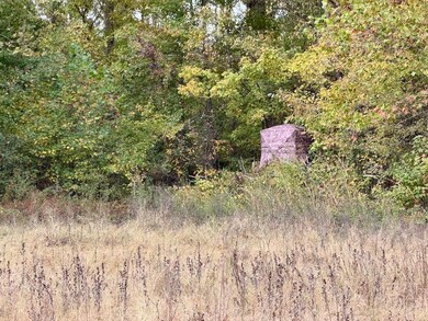 0 Faye Barfield Rd unit LotWP001, Henning, TN 38041 - photo 2