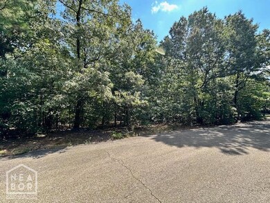 2 Sherwood Oaks Ln, Jonesboro, AR 72404 - photo 3