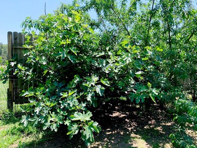 1007 Ernest A Thompson Rd, Ruth, MS 39662 - photo 5