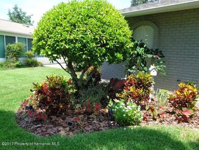 Lovely yard everywhere you look
