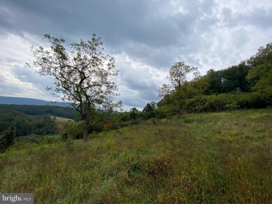 0 Gooney Manor Loop unit VAWR2012426, Bentonville, VA 22610 - photo 4