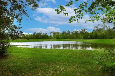 The home backs to a greenbelt and retention pond with no rear neighbors