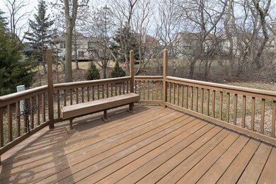 Nice views out to trees and plantings