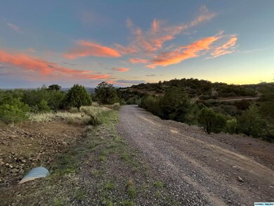 45 Rachel Rd, Silver City, NM 88061 - photo 3