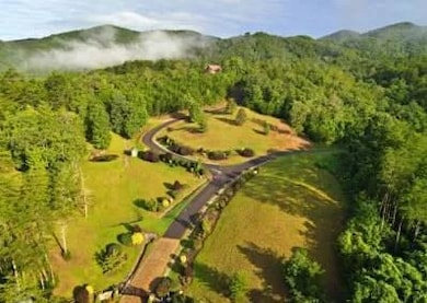 114 Blackhawk Ln, Turtletown, TN 37391 - photo 3