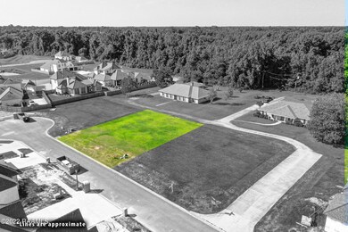 306 Beckenham Way DRONE-2a