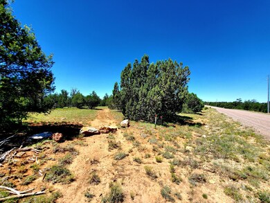 8571 Haven Crest Dr, Blue Ridge, AZ 86024 - photo 4