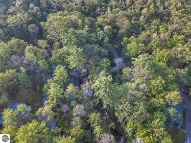 2064 W P M Ln, Baldwin, MI 49304 - photo 3