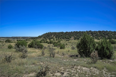 13700 Corundum Rd, Trinidad, CO 81082 - photo 7